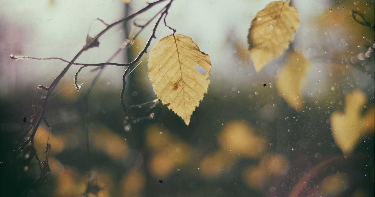 Long Covid's Hidden Trigger: Your Mind's Unseen Vulnerability