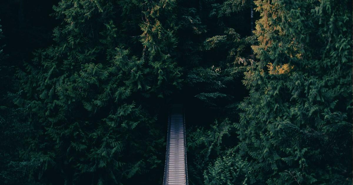 Long Covid's Silent Trigger: Psychological Distress & Your Health
