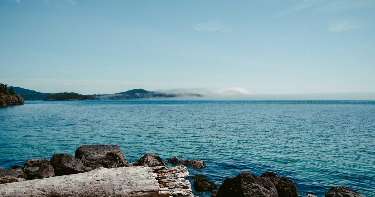 Long Covid's Silent Risk: Why Your Mind Matters