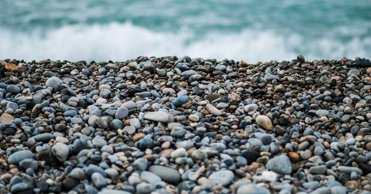 Mind-Body Battle: Psychological Distress Fuels Long Covid